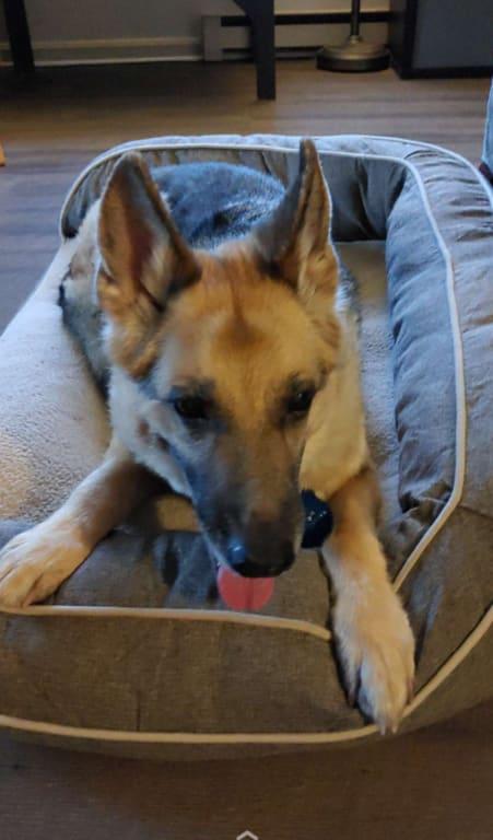 Iko, 14 years old