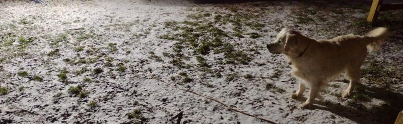 Snow Time!