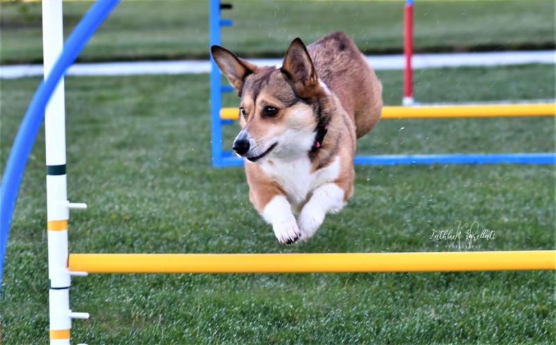 Love agility!
