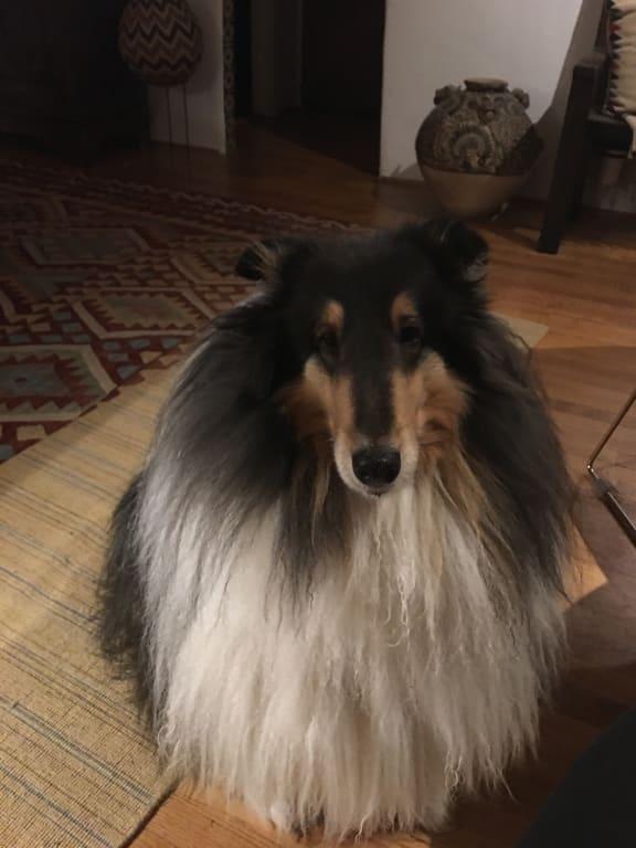 Skye