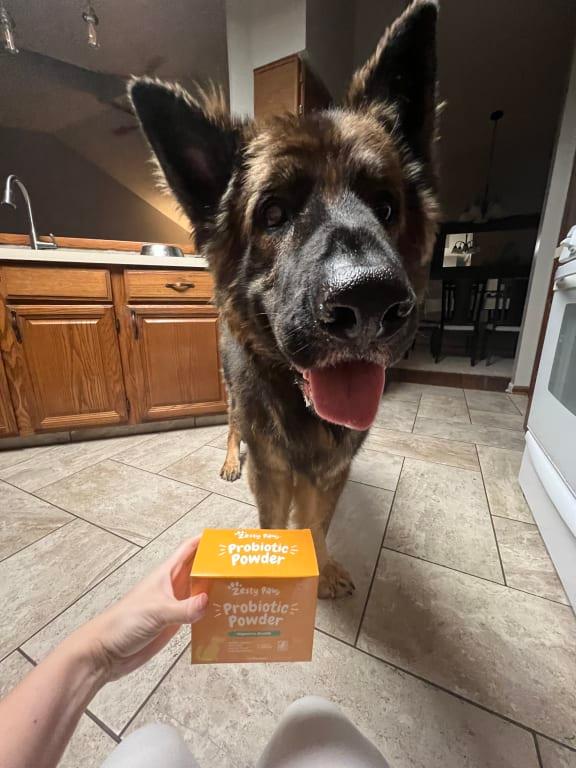 One happy pup!