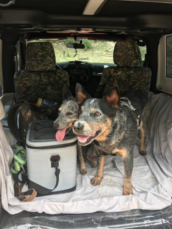 Tired mountain boys.