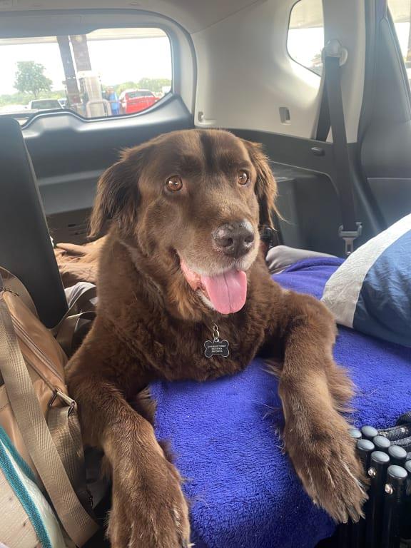 On the drive to our new home!