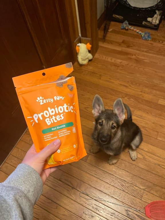 Zesty Paws Probiotic Bites Digestion Supplement For Dogs At Tractor Supply  Co