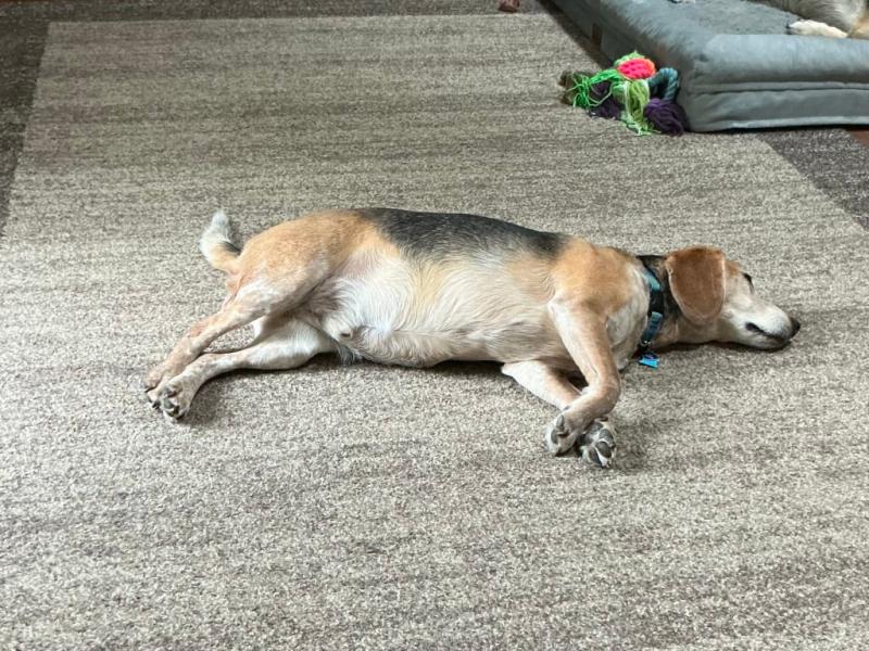 Glorious sleep