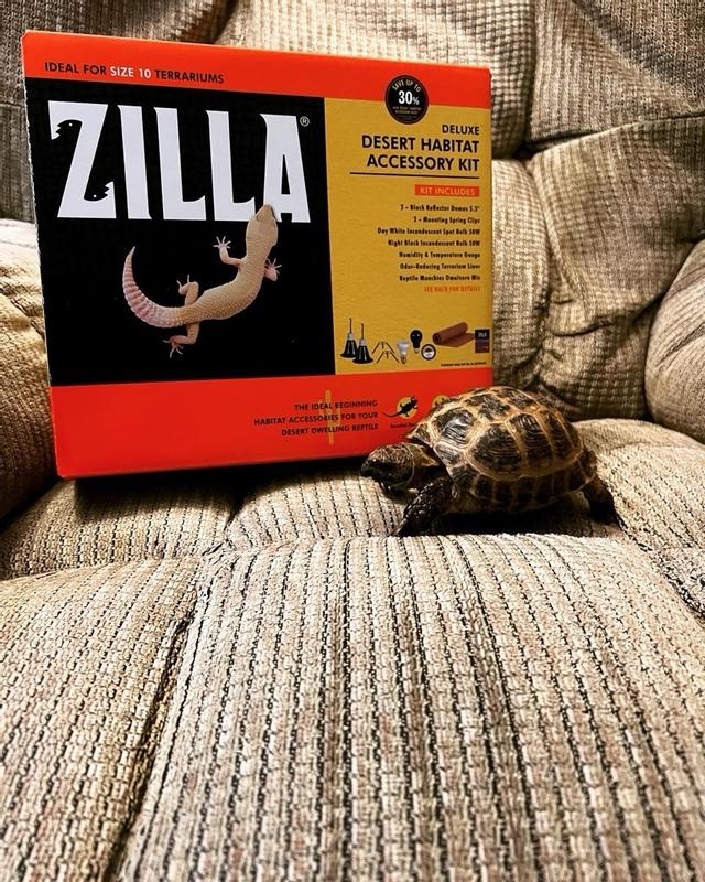 Zilla premium desert outlet kit petco