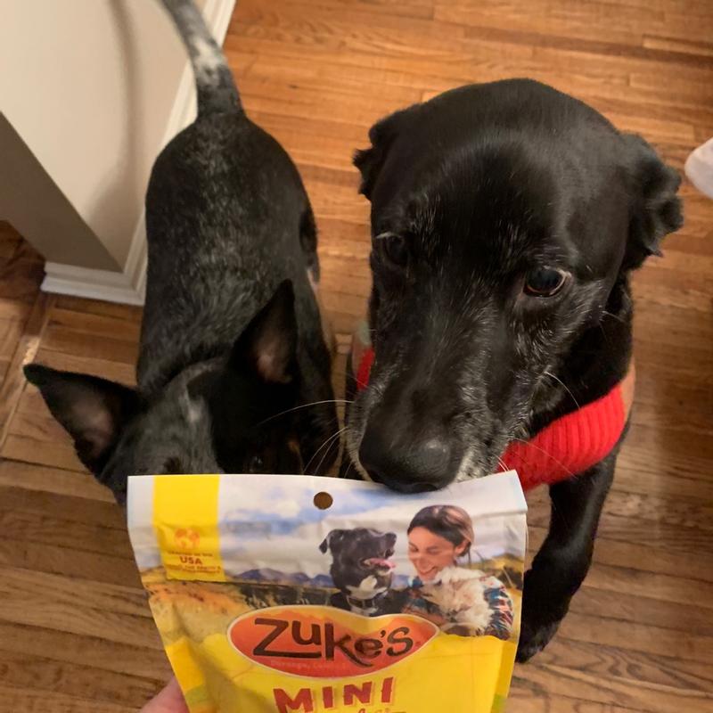 Zuke's Natural Training Dog Treats; Mini Naturals Recipe; Made in USA Facilities 