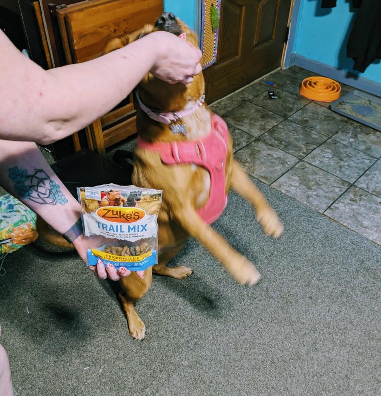 Trail Mix Chicken Recipe Dog Treats | Zuke's