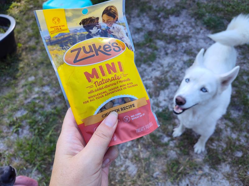 Mini Naturals Chicken Dog Training Treats | Zuke's
