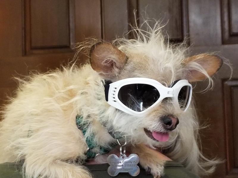 Too cool for school