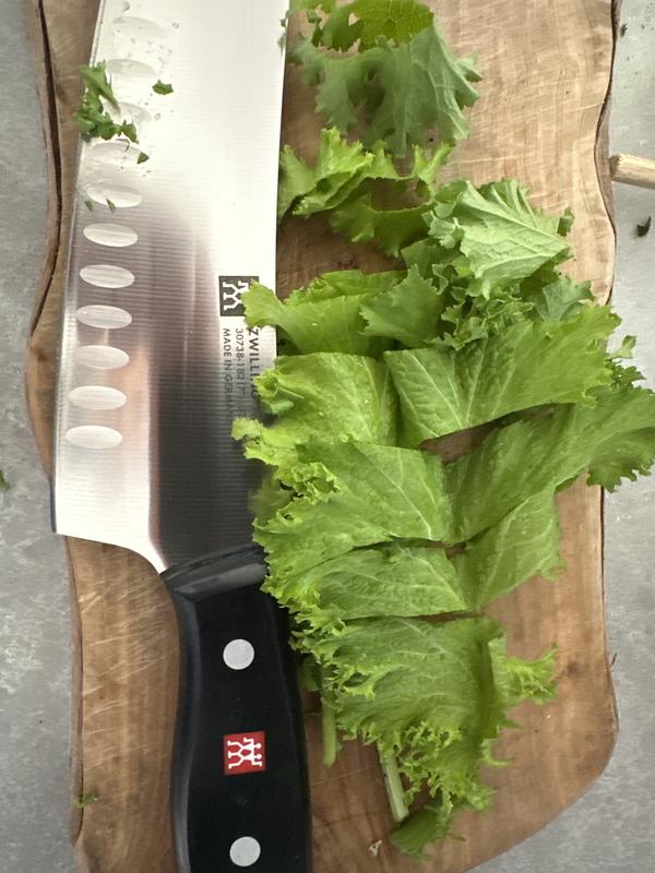 Salad chopping