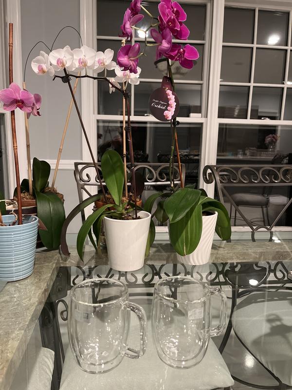 My morning coffee spot just got better!