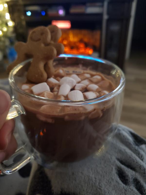 Hot cocoa with marshmallows & gingerbread