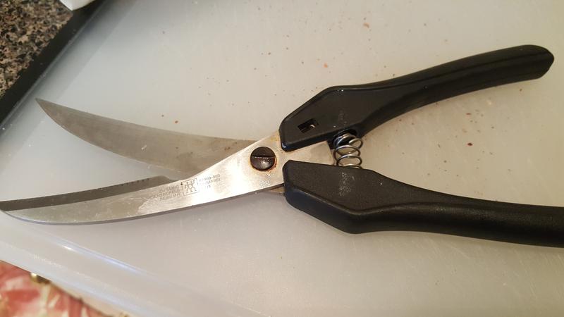 My beloved shears