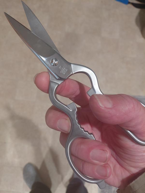 Buy ZWILLING Kitchen Shears Multi-purpose shears | ZWILLING.COM