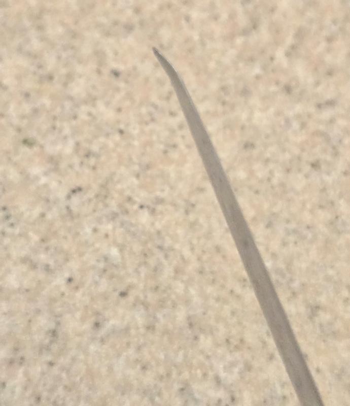 Fillet bent