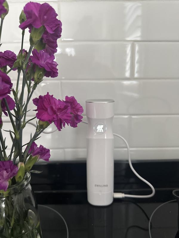 Buy ZWILLING Fresh & Save Vacuum pump with charging cap