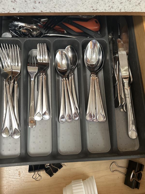 Buy ZWILLING Provence 20 Piece Flatware Set matted/polished