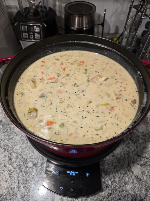STAUB Precision Induction Multi Cooker in the Slow Cookers department ...
