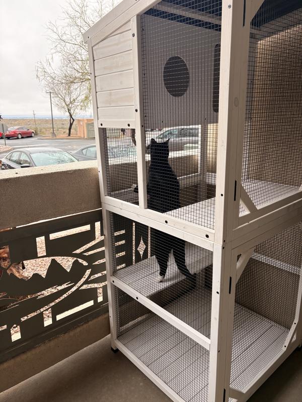 Exploring the habitat