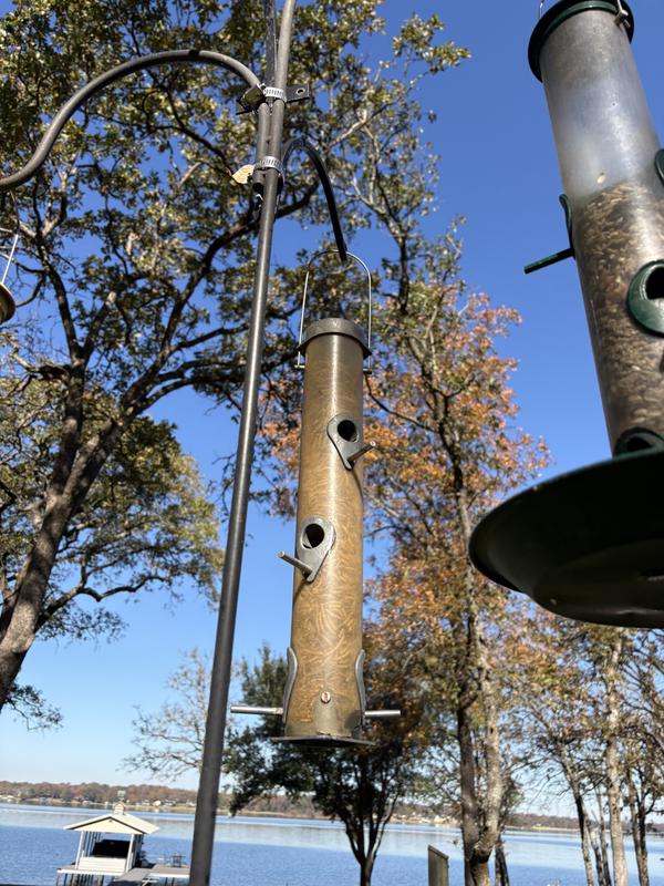 Feeder with mealworms